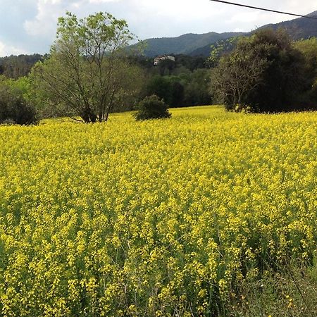 Casa Rural Can Panxa Sant Pere de Vilamajor Экстерьер фото